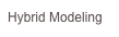 Hybrid Modeling