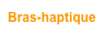Bras-haptique